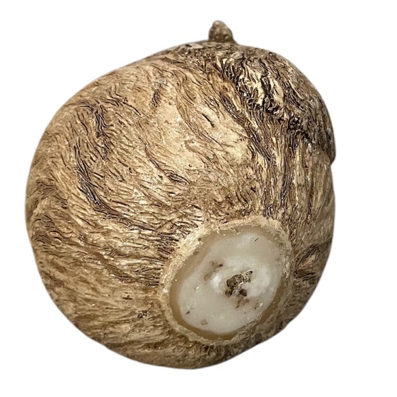 Sculpted Grizzly Bear, Lion Tan & Black Stripes Carved Wax African Safari Candle - Picture 5 of 8